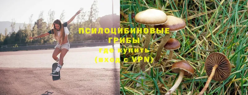 МЕГА ТОР  купить закладку  Армянск  Псилоцибиновые грибы Cubensis 